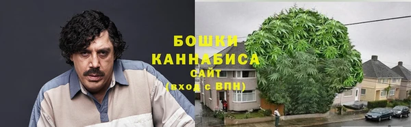 спайс Инсар